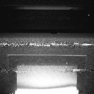 牧场kg性行为BBw
