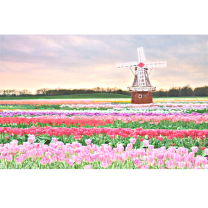 牧场kg性行为BBw
