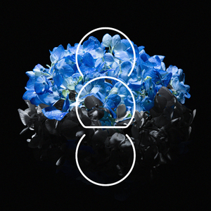 牧场kg性行为BBw
