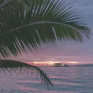 牧场kg性行为BBw
